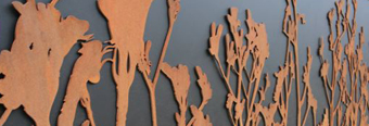 Kangaroo Paw Lightbox